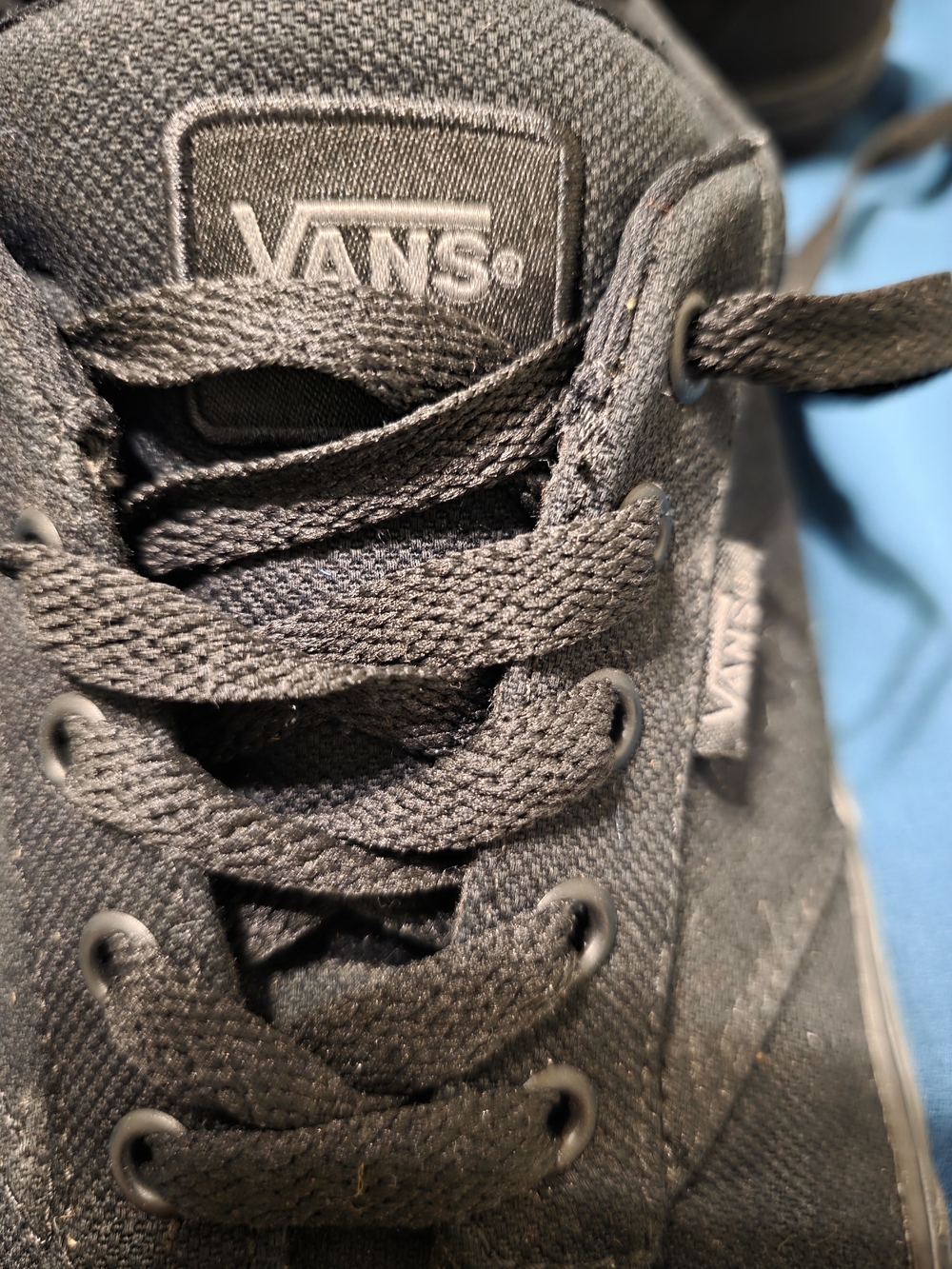 Vans Black Low-Top Canvas Sneakers